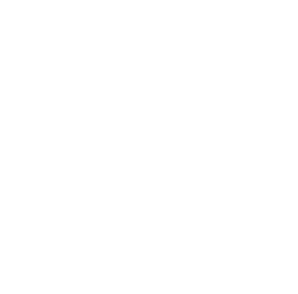The American Board Of Surgery